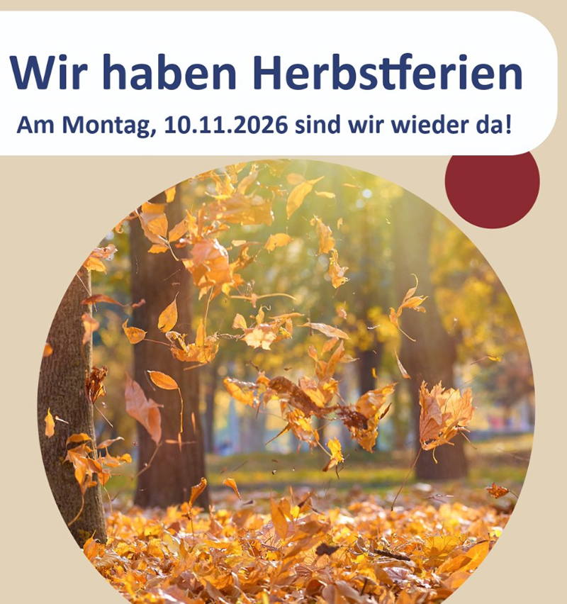 Ein Park in leuchtendem Herbstlaub Ein Park in leuchtendem Herbstlaub